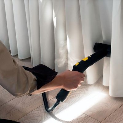 Palmetto FL Carpet Cleaner