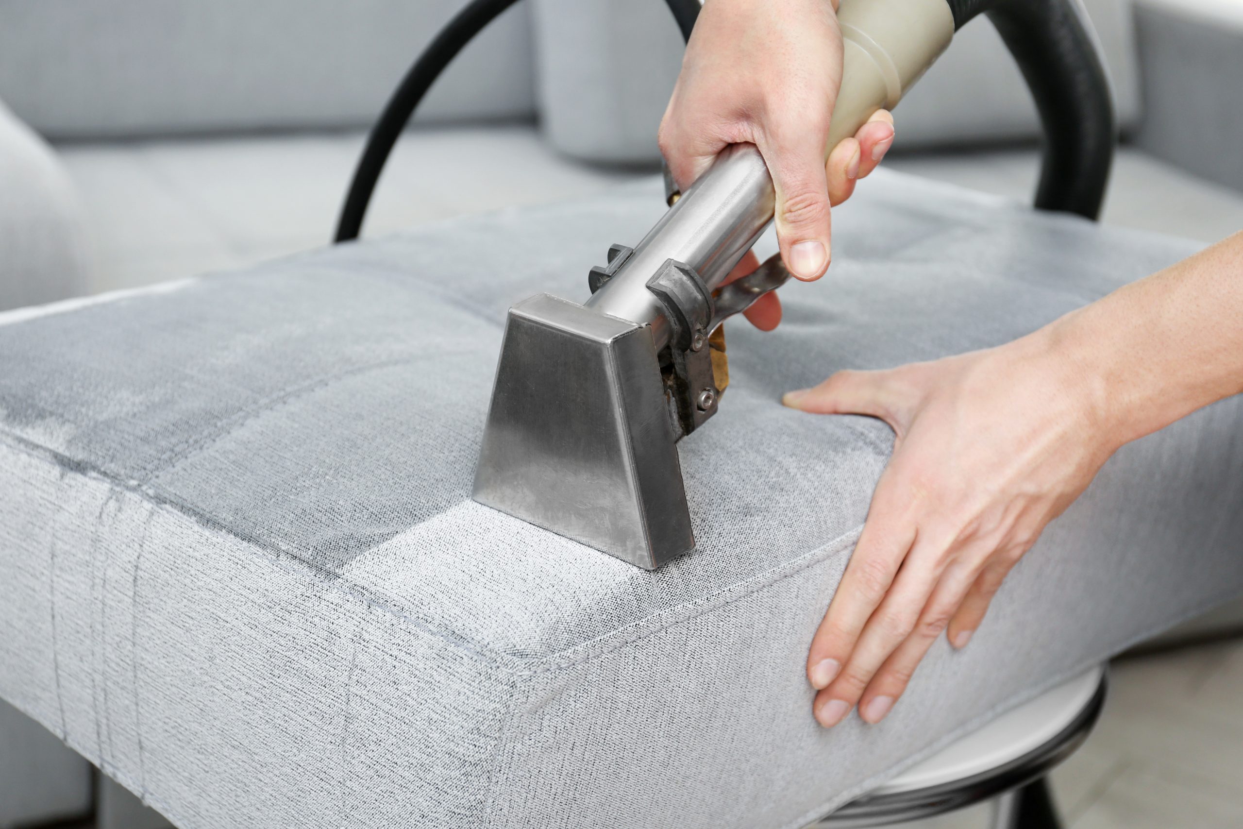 Carpet Cleaner Parrish FL