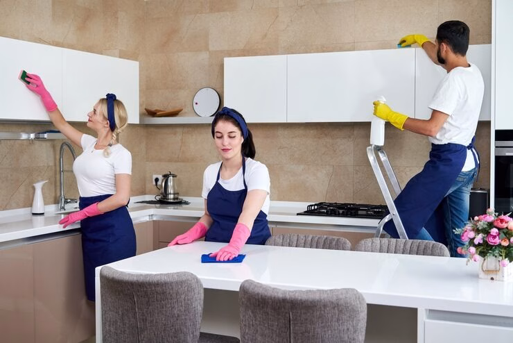 imgi_38_cleaning-service-team-work-kitchen-private-home_130111-3770 Professional Upholstery Cleaning in Bradenton Florida