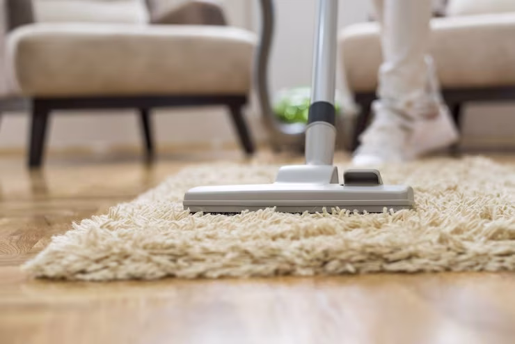 imgi_3_closeup-vacuum-cleaner-living-room_181624-51417 Professional Pet Stain Removal in Bradenton Florida